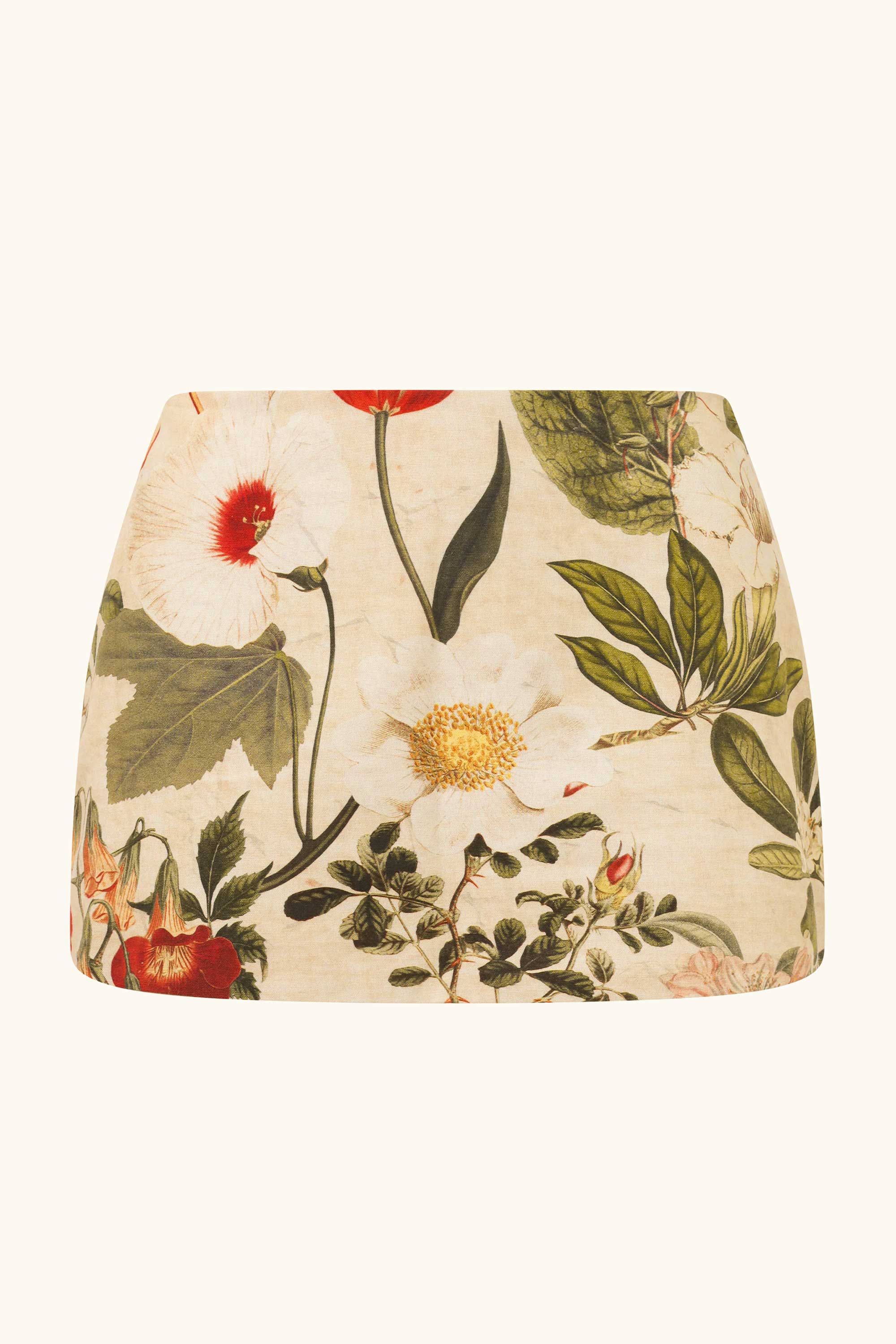 Aurora Set  ~ Bloom - Image 11