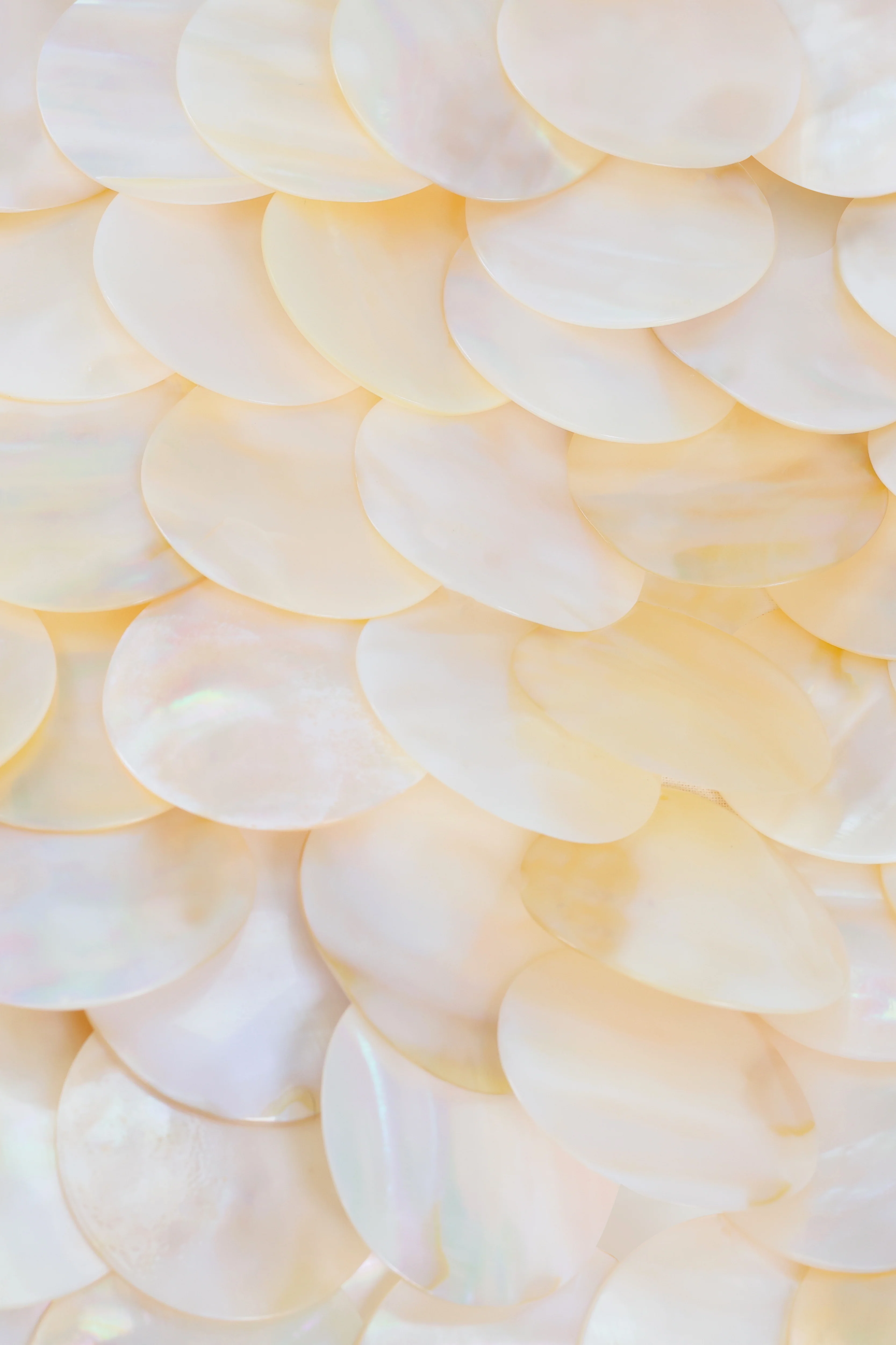 Siren Top ~ Beaded Mother of Pearl V2 - Image 3