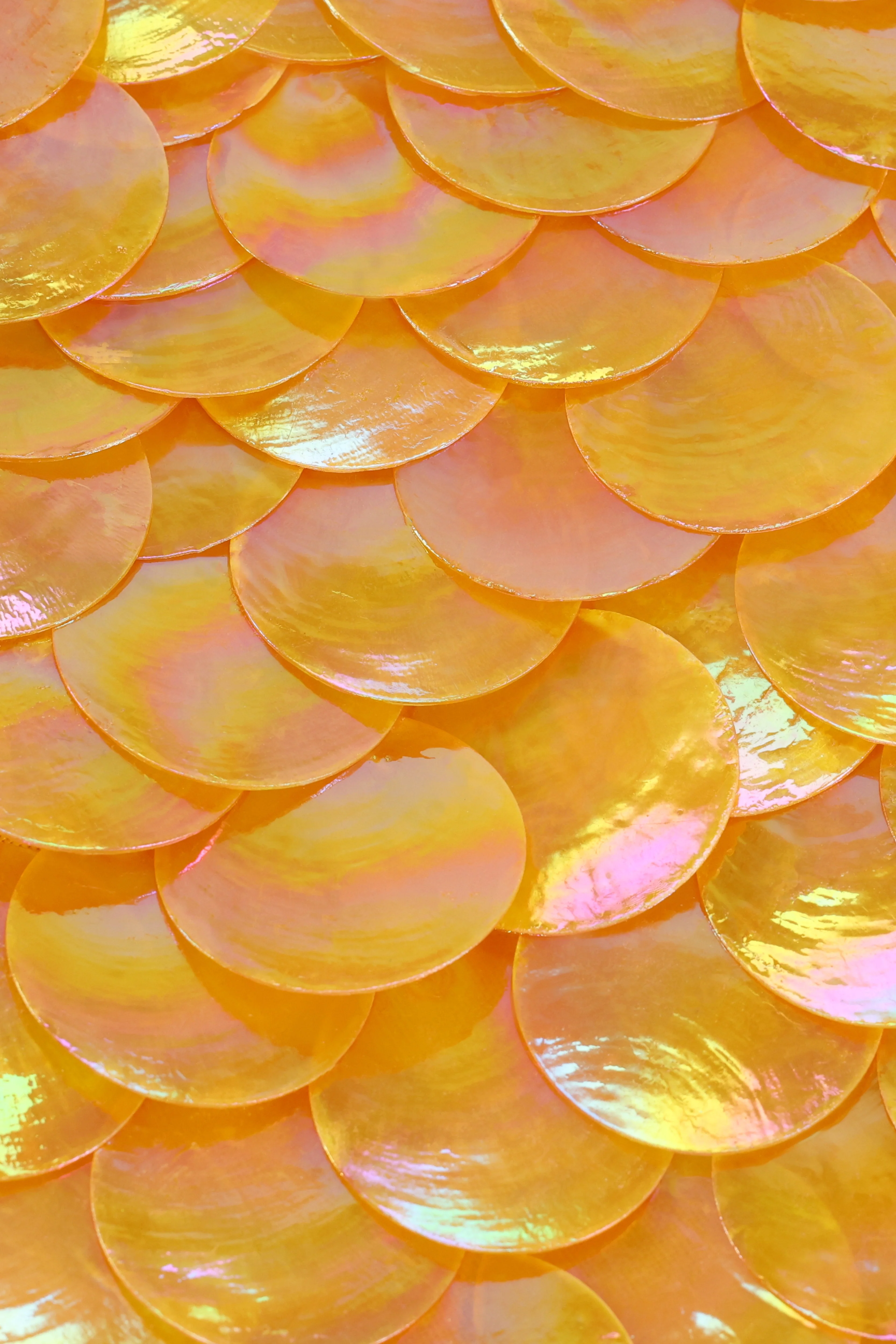 Zeïa Low Rise Mini Skirt ~ Marigold Mother of Pearl - Image 2